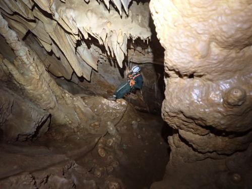 WhatsApp-Image-2025-03-21-at-19.05.16-1