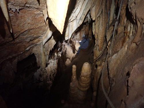 WhatsApp-Image-2025-03-21-at-19.05.16-2