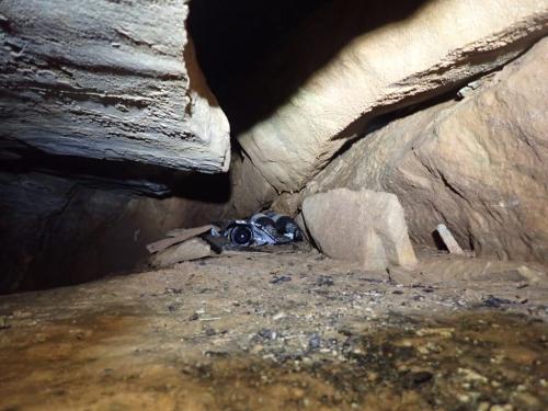 WhatsApp-Image-2025-03-21-at-19.05.16-4