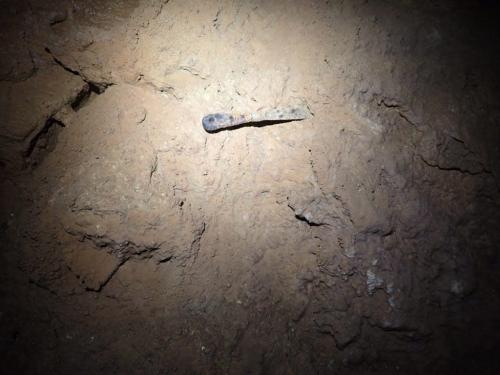 WhatsApp-Image-2025-03-21-at-19.05.17-1