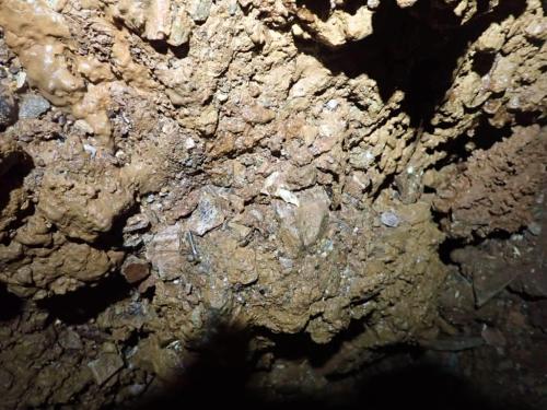 WhatsApp-Image-2025-03-21-at-19.05.17-2