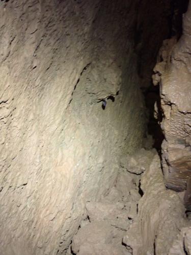 WhatsApp-Image-2025-03-21-at-19.05.17