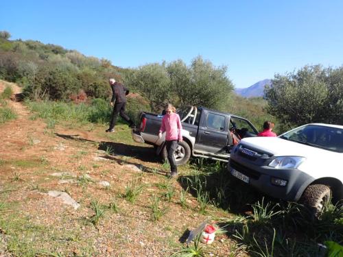 WhatsApp-Image-2025-03-21-at-19.05.18-1