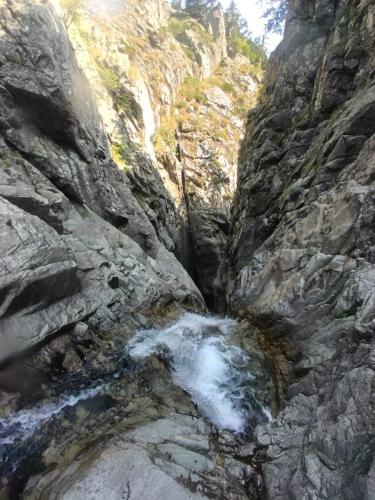 WhatsApp-Image-2025-08-07-at-19.44.18-4