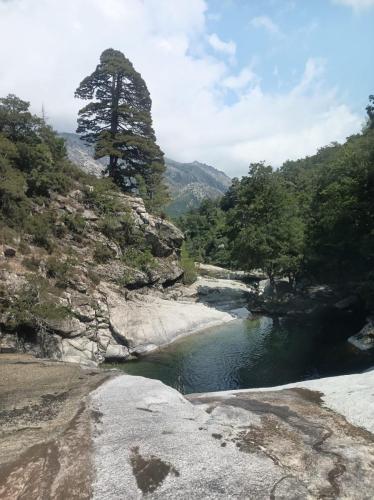 WhatsApp-Image-2025-08-07-at-19.44.19-1