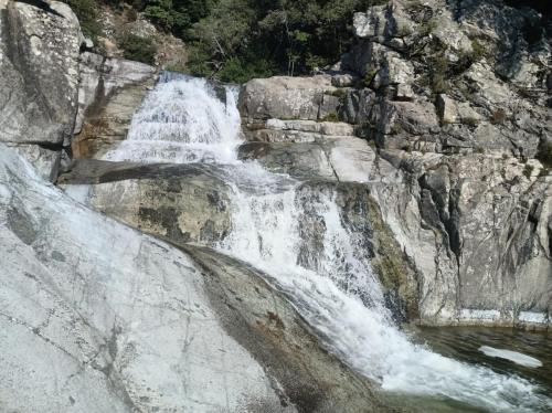 WhatsApp-Image-2025-08-07-at-19.44.19-4