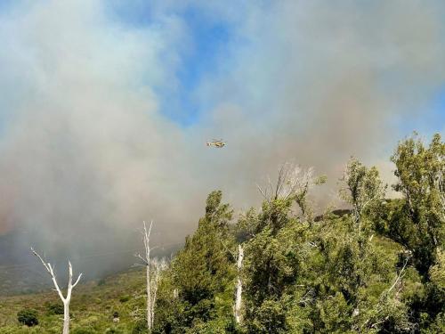 WhatsApp-Image-2025-10-14-at-14.14.38-9