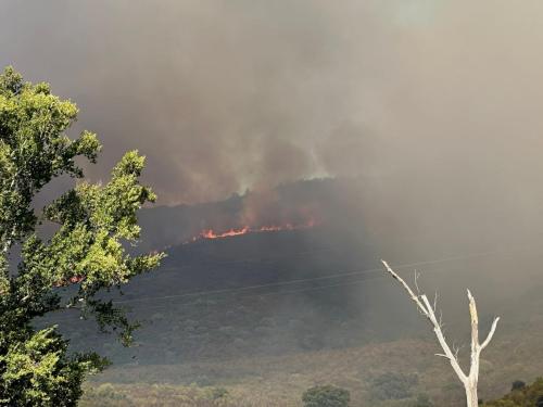 WhatsApp-Image-2025-10-14-at-14.14.39-1