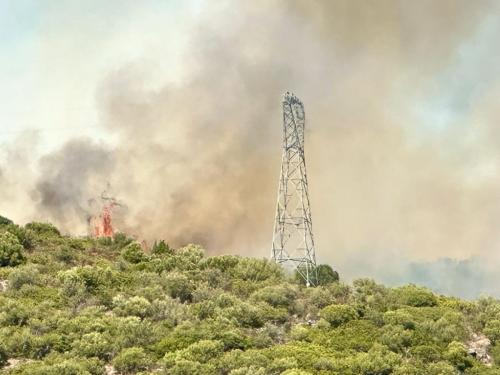 WhatsApp-Image-2025-10-14-at-14.14.39-2